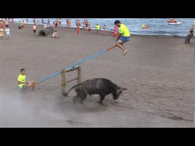 Bull Fight In Beach _ Tourada Areal da Praia 2017 com Marradas e Cenas Engraçadas