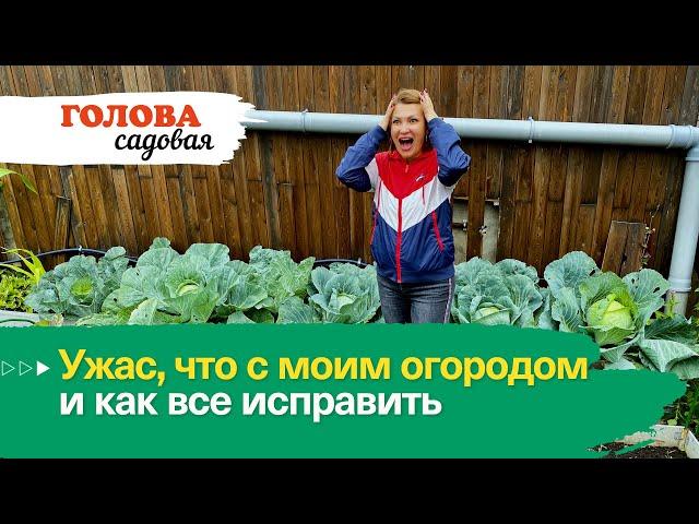 Голова садовая - Ужас, что с моим огородом и как все исправить