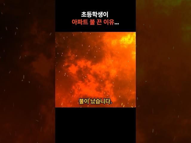 초등학생이 아파트 불 끈 이유 #이슈모음 #뉴스투데이 #핫이슈 #썰픽 #초등학생영웅 #소방안전교육 #실화사건 #소방관수업 #1분뉴스