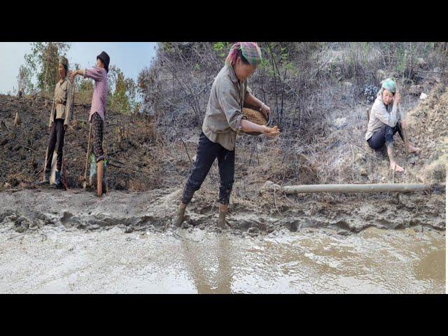 She worked as a hired laborer to exchange rice seeds and then went to the fields to sow seeds.