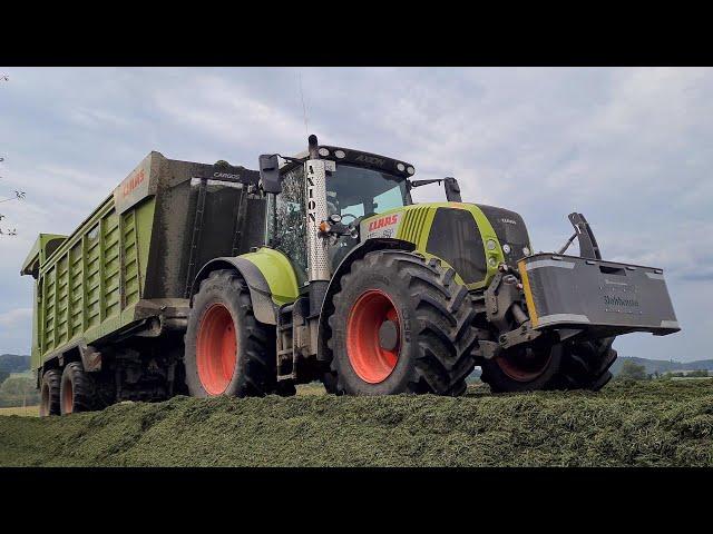 Gras häckseln mit Fendt Katana 65 & Fendt 828 & Class Axion 850 (Sound)