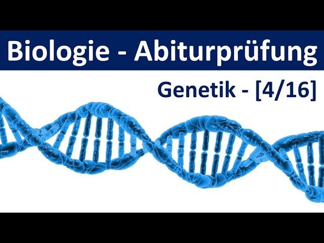 Biologie Abiturprüfung 2024 - Aufgaben Genetik [2/2] - [Abitur Biologie, 4/16]