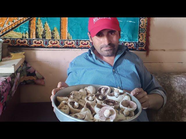 SABAH NASİBİ KIRMIZI ŞAPKA ÇILDIRDI