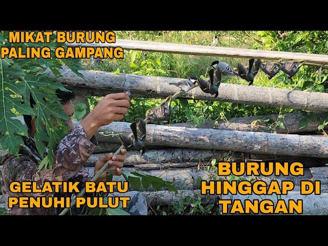 MIKAT MAIN-MAIN TAPI HASIL BUKAN MAIN