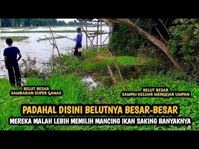 Begini Jadinya Kalau Warga Sekitar Nggak Tahu Caranya Mancing Belut