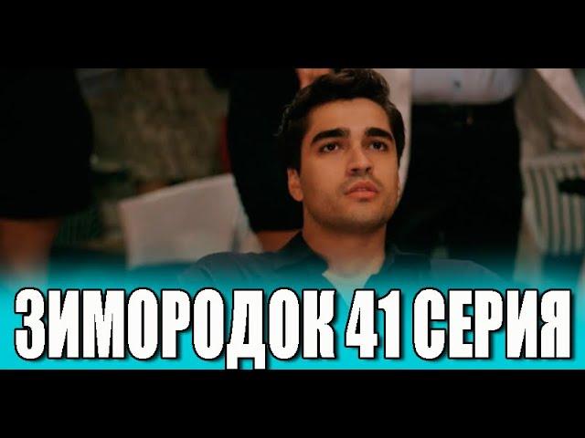 Зимородок 41 серия на русском языке. Новый турецкий сериал