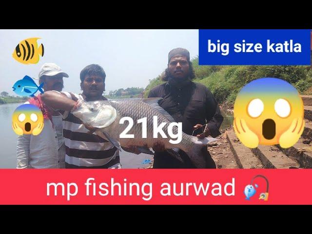 #fish 21kg katla big size katla fishing size catch mp fishing aurwad Record size katla,