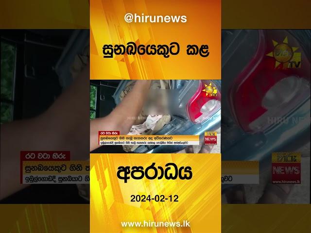 සුනඛයෙකුට කළ අපරාධය - Hiru News
