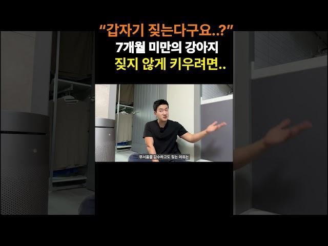 새끼 강아지 짖지 않게 키우는 방법 (경계성 짖음)