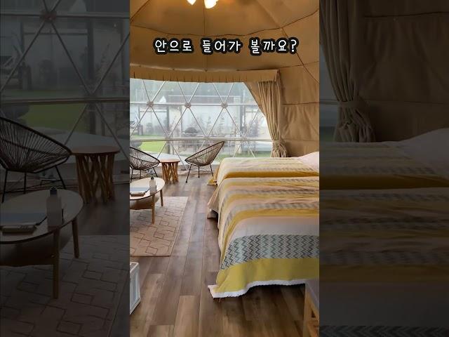 일본 시즈오카현 초등학교를 활용한 캠핑장 #shorts #시즈오카 #일본여행
