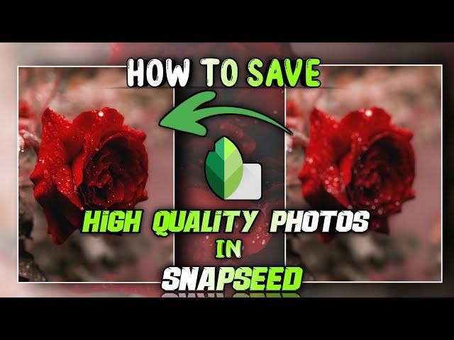 How To Save HD Quality Photos In Snapseed | Snapseed Tutorial | D2 Shots