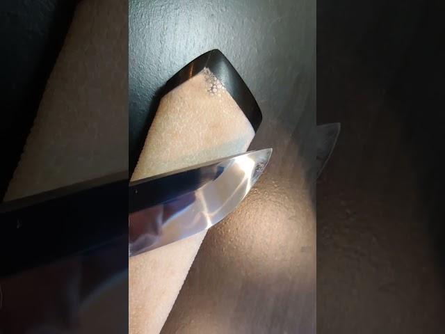 Project Blade Jkoo Pocket Kwaiken Tanto 2 #kwaiken #pocketfixedblade #katana  #tanto #knives #刀 #短刀