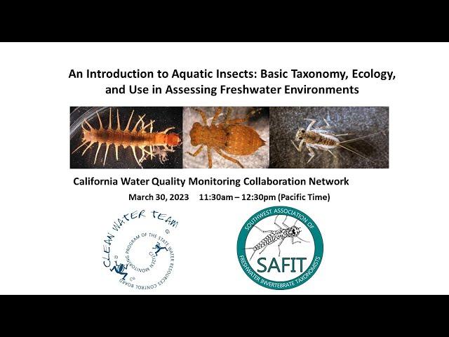 Aquatic Insects: Basic Taxonomy, Ecology, and Use in Assessing Freshwater Environments