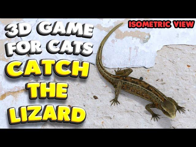 3D game for cats | CATCH THE LIZARD (isometric view) | 4K, 60 fps, stereo sound