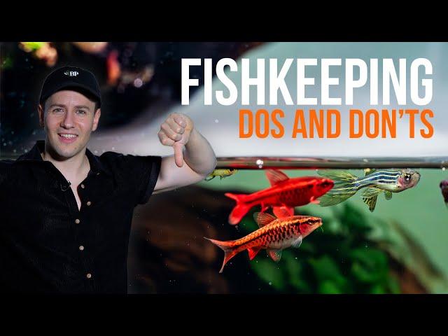 5 TIPS for a Healthy Fish Tank - Fishkeeping Tips for Aquarium Hobbyists