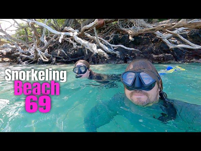 Where to Snorkel on Big Island Guide: Beach 69