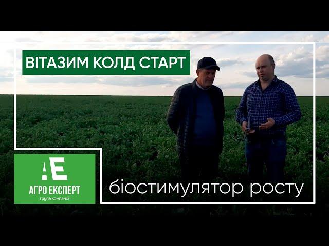 Внесення біостимулятору росту ВІТАЗИМ КОЛД СТАРТ для підвищення стресостійкості рослин. Озимий ріпак