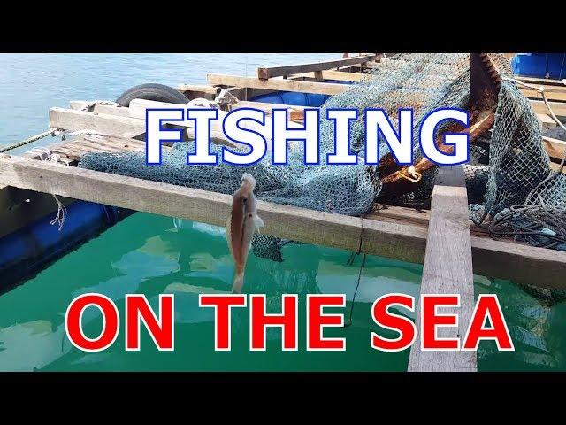 FISHING ON THE SEA | BKB VLOGS | BKB Travel