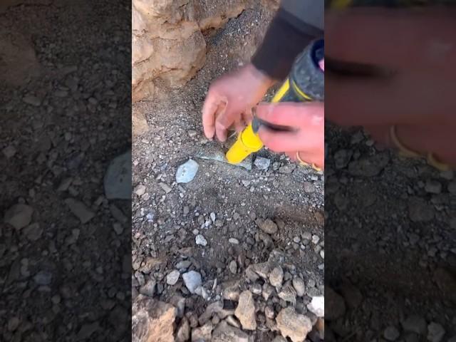 НАШЕЛ СЕРЕБРЯНУЮ ФИГУРКУ ЯЗЫЧЕСКОЙ БОГИНИ!  #находки #клад #коп