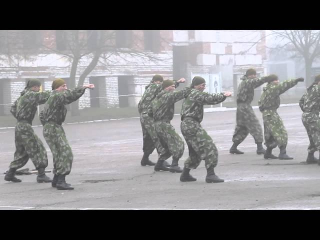мама, папа, посмотри