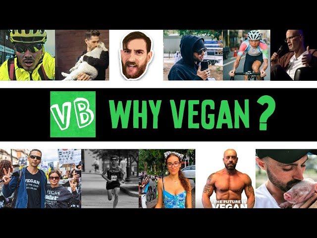 Why you should go Vegan