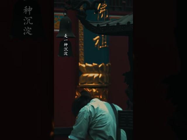 佛語禪心  不要質疑你的付出，這些都是積累  #禪悟人生   #情感