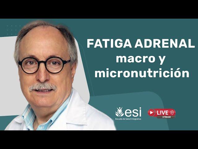  FATIGA ADRENAL: MACRO y MICRONUTRICION. [Dr. Domingo Pérez León]