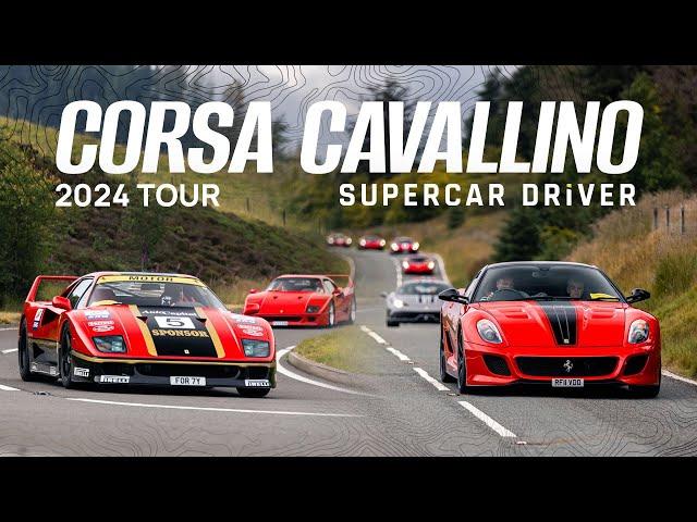 Corsa Cavallino 2024