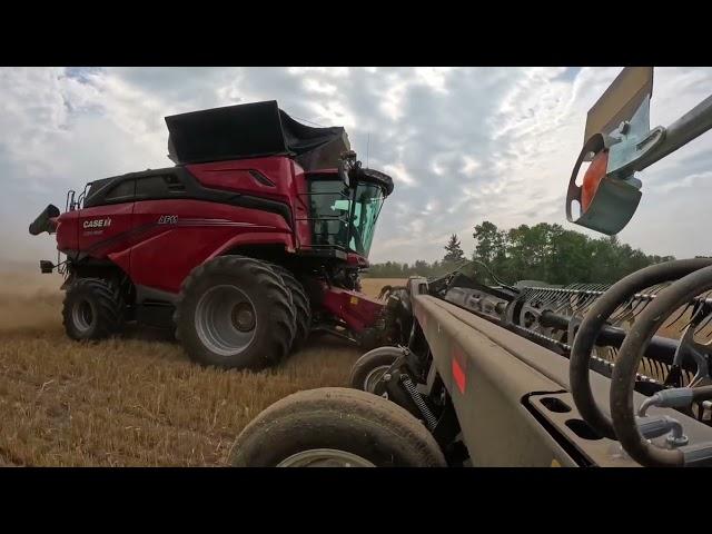 New Case IH AF11 Combine Harvesting Corn Soybeans & Wheat #GoBig