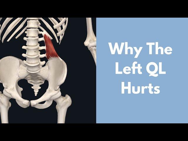 Why Does Your Left Quadratus Lumborum Hurt?