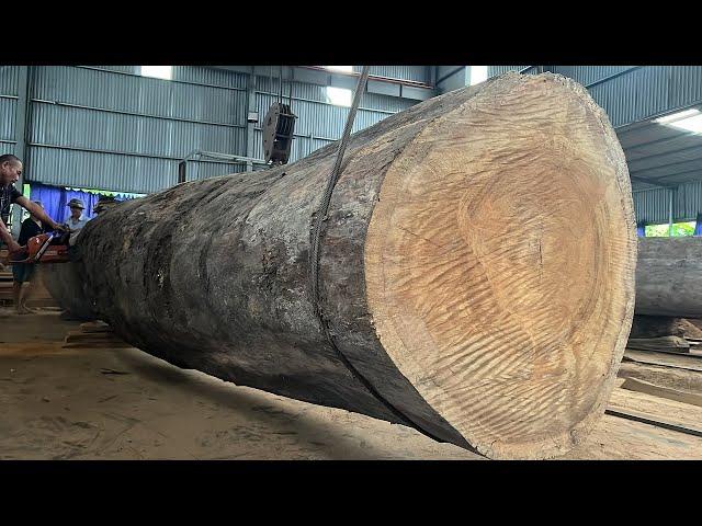 Factory Wood Processing - Operating Extra Large Saws, Wood Saw Machine Works Fastest