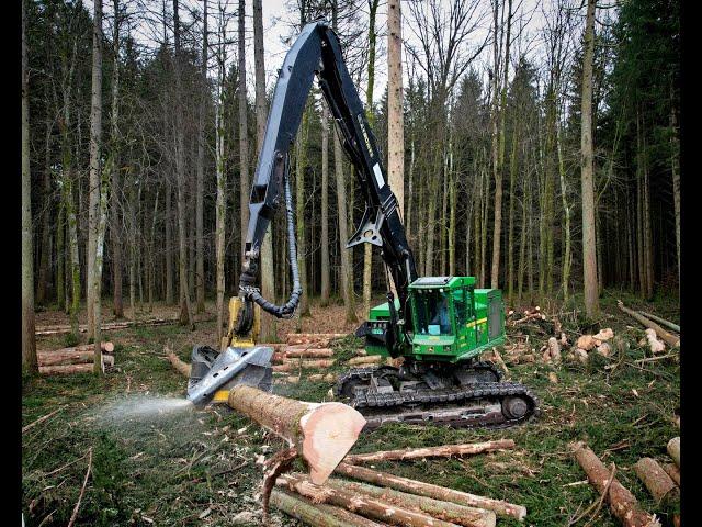 4K| John Deere 909KH *American machine* • Big Harvester • big trees • Starkholz • Loggingvideo