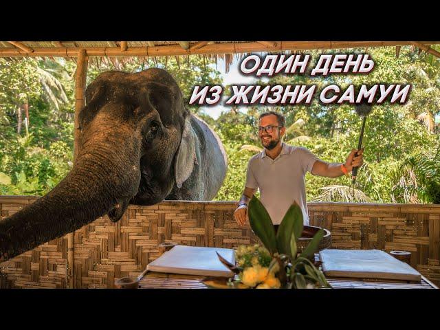 Один день из жизни на острове Самуи