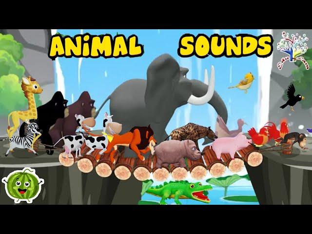 These Are the Sounds of Animals for Kids AJAC || Edufam Kids Song and Nursery Rhymes