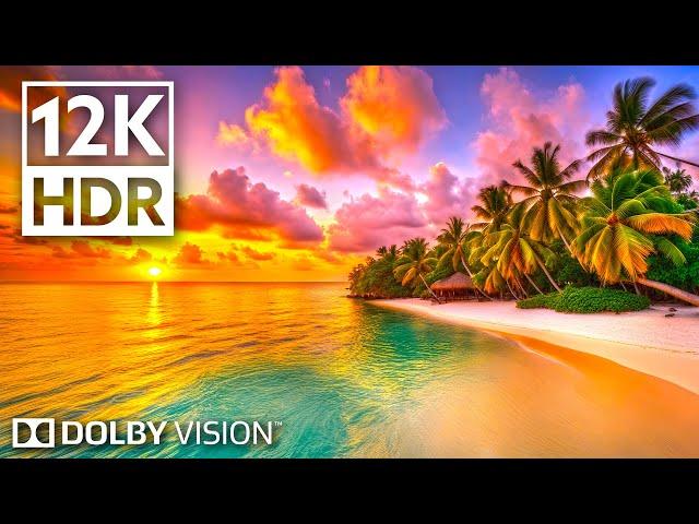 Real Paradise 12K Dolby Vision HDR (120fps)