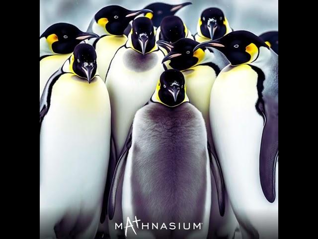 #Mathnasium #MathInNature #penguin  #maths #nadalsheba