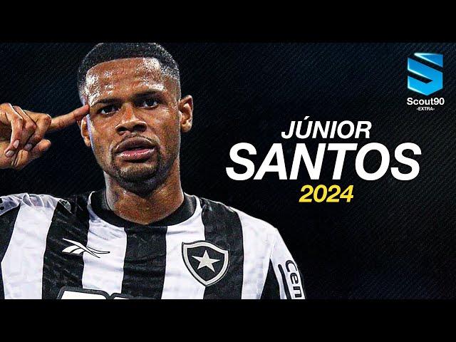 Júnior Santos 2024 ► Botafogo - Magic Skills, Assists & Goals | HD