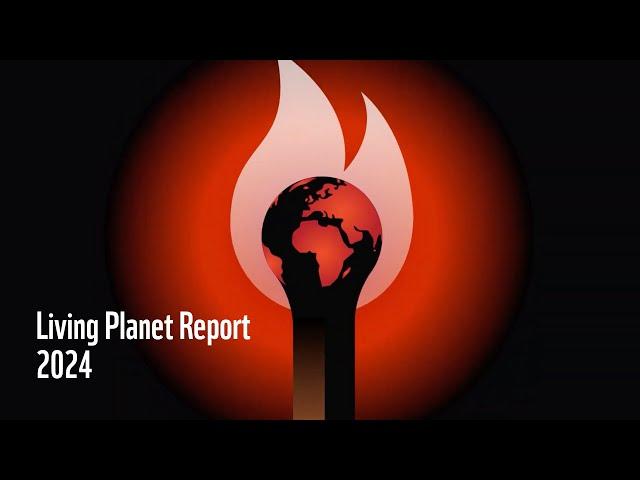 WWF’s 2024 Living Planet Report