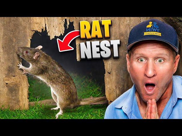 We Solved Two NASTY RAT INFESTATIONS