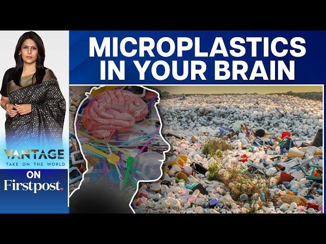 Microplastics Could Enter Your Brain. Here's How | Vantage with Palki Sharma