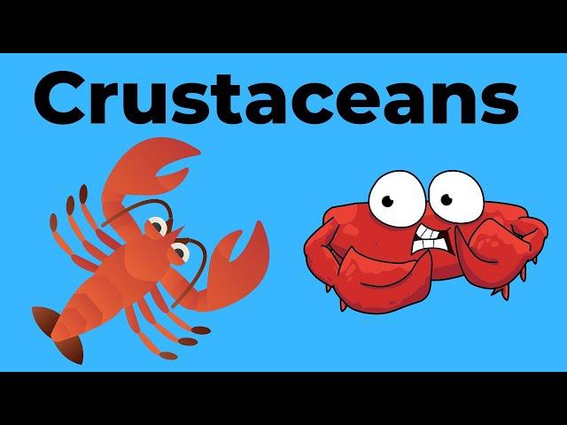 Characteristics of Crustaceans