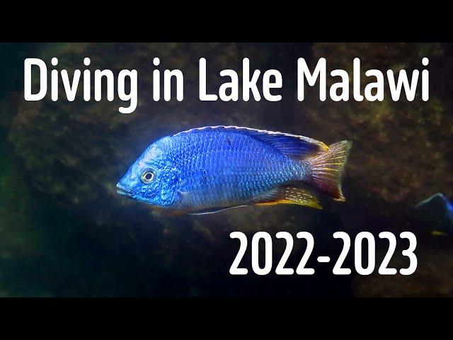 Diving in Lake Malawi 2022 2023