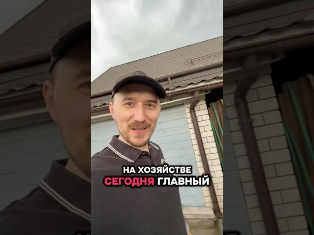 Главный #блог #юмор #блогер #будни #смех #деревня