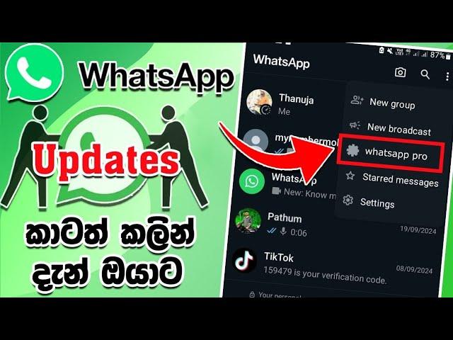 කාටත් කලින් අප්ඩේට් ගමුද | whatsapp new update 2024 sinhala | Whatsapp beta version sinhala