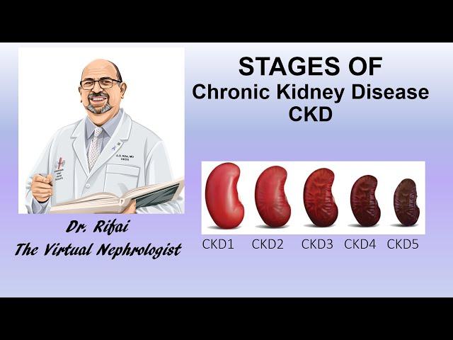 Stages of Chronic Kidney Disease CKD | The Virtual Nephrologist | Dr. Rifai