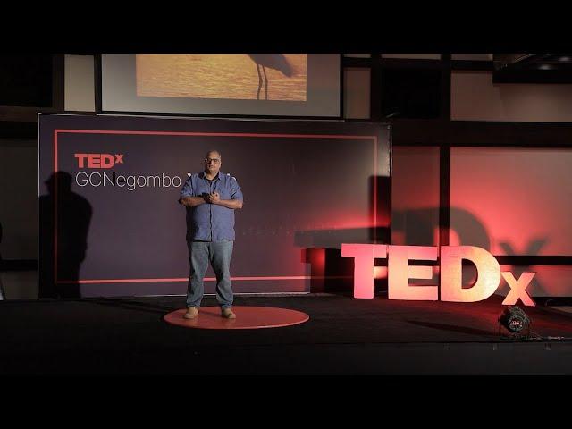 Framing of The Wild: Capturing Nature’s Raw Beauty | Namal Kamalgoda | TEDxYouth@GCNegombo