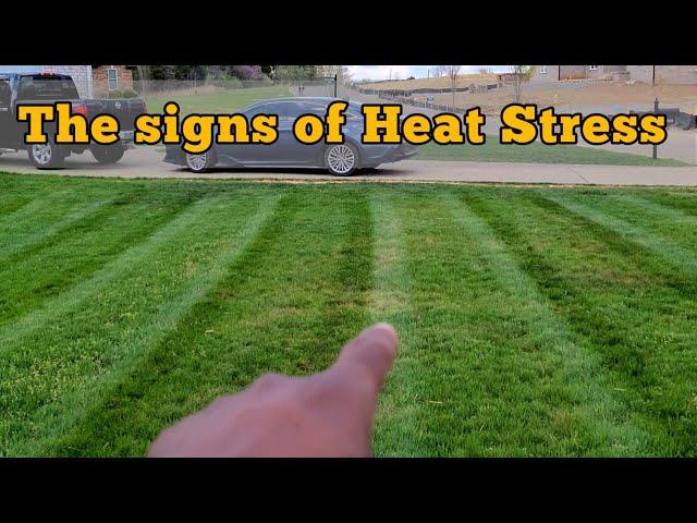 Learn the Signs of Heat Stress: Here's What You Need to Know