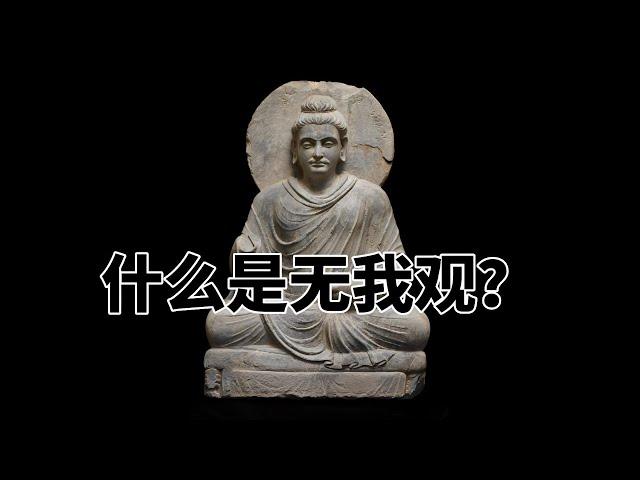 第七百二十三章 什么是无我观？完全读懂巴利文大藏经（723）