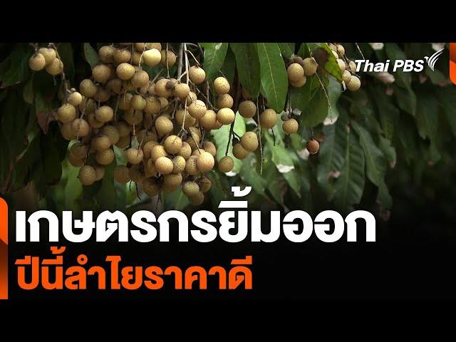 เกษตรกรยิ้มออก ปีนี้ลำไยราคาดี | จับตารอบทิศ | 25 ก.ค. 67