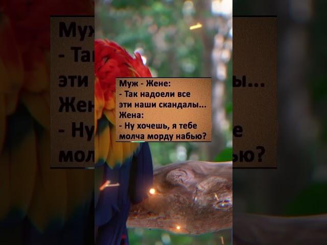 Анекдот дня #настроение #анекдот #прикол #юмор #анекдоты #мем #смех #приколы